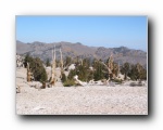 2003-09-20 White (60)